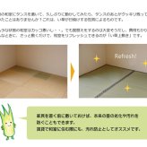 夏ラグ 夏用カーペット 純国産 い草 上敷き カーペット 糸引織 『柿田川』 江戸間6畳(約261×352cm）