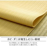 ラグ カーペット 洗える 日本製 国産 アウトドア レジャー 和室 シンプル 江戸間3畳(約174×261cm)