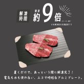 解凍プレート 急速解凍 カクセー 急速解凍アルミプレート リフトアップホルダー付き 最大約9倍 アルミプレート 自然解凍 電気不要 水不要 肉 魚 冷凍食品 食品解凍 粗熱取り 冷凍プレート 時短調理 薄型 キッチン便利グッズ 新生活 敬老の日 プレゼント ギフト