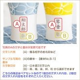 カップ タンブラー ペア ペアセット プレゼント【名入れギフト・名入れプレゼント・結婚祝い・結婚記念日】名入れ 波佐見焼 ペア ビアカップ 磁器 smart350 hana 送料無料 両親 友人夫婦 夫妻