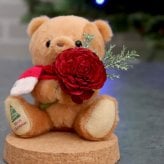 クリスマスプレゼント ガラスドーム 《X'mas限定 クリスマス インテリア 》 クリスマス小物 北欧 雑貨 置物 卓上 飾り 彼女 女性 母 友達 娘 可愛い おしゃれ ドライフラワー クリスマスグッズ 装飾 ナチュラル 花 名入れ テディベア 子供 ぬいぐるみ くま 妻 2026クリスマスガラスドームteteショコラ 8027803