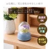 【1～2営業日内に発送】18弁量産オルゴール・フラワードームカップ・在庫曲から選ぶ・オルゴール・プリザーブドフラワー・仏花・お供え・お仏壇・誕生日・母の日・父の日・入園・入学・卒園・卒業・プレゼント・結婚・両親・出産・還暦・退職・ジブリ・ディズニー・無料ラッピング