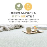 ラグ カーペット 敷き詰め PS-700 江戸間3帖 3畳 防炎 防音 抗菌 防汚 はっ水 日本製