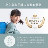 収納ベッド 大容量 5杯 引き出し付き ベッドフレーム シングル セミダブル 日本製 国産 棚付き 1口コンセント すのこ ベッド下収納 木製 フレームのみ 小豆 AZUKI 源ベッド 4-015