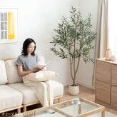【高さ170cm】光触媒人工観葉植物 オリーブ 幅70cm×奥行60cm×高さ170cm オフィス 天然木 ポリエステル 組立品 お部屋に気軽に飾れて空間を美しく彩るフェイクグリーン 本物の植物のようなリアルな質感とインテリアに馴染む風合いが魅力です