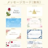 ヴィヴィアン マフラー Vivienne Westwood ヴィヴィアンウエストウッド マフラー ブランドマフラー/ギフト/クリスマス/バレンタイン/プレゼント/お誕生日/81030007【メンズ/レディース/ブランド】