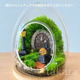 テラリウムキット 【ハロウィン】 コケテラリウム 贈り物 ガラスボウル コケインテリア ハロウィン ギフト 手作りキット 創作キット 苔インテリア 苔リウム コケリウム 作成キット お誕生日 おうち時間 敬老の日