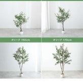 【高さ200cm】光触媒人工観葉植物 ユーカリ 幅70cm×奥行60cm×高さ200cm オフィス 天然木 ポリエステル 組立品 お部屋に気軽に飾れて空間を美しく彩るフェイクグリーン 本物の植物のようなリアルな質感とインテリアに馴染む風合いが魅力です
