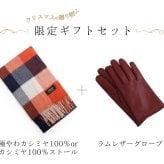 ギフトセット ストール＆手袋 レディース 【名入れ刺繍対象】 ストール カシミヤ100% カシミア マフラー 手袋 レザー レザーグローブ グローブ スマホ対応 指ぬき 女性 女性用 プレゼント ギフト クリスマス ホワイトデー 誕生日 記念日 (xmasgiftset-womenr)
