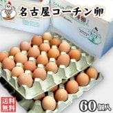 名古屋コーチン卵60個入（破損保証6個を含む）ギフト【送料無料（北海道・沖縄を除く）】