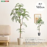 お手入れ簡単 フェイクグリーン エバーフレッシュ Mサイズ(160cm) 新築祝い 開店祝い