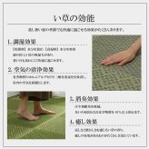 敷物 花ござ 国産 純国産 日本製 小林製薬 持続性抗菌剤 KOBA-GUARD 制菌 抗菌防臭  夏 い草 市松 モダン 江戸間2畳 約174×174cm