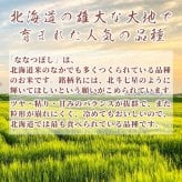 北海道産 ななつぼし【白米/無洗米と内容量が選べる10kg~30kg】雑穀米本舗  北海道産 選べる 白米 無洗米 令和8年産 単一原料米 送料無料 精米工場からの直送品
