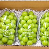 【シャインマスカット】２ｋｇ箱（３房前後）山梨県勝沼産10月～11月初旬発送予定。【送料無料】