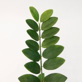 観葉植物 造花 ザミオクルカス BROWN 全高約70cm 卓上・小型 フェイクグリーン 本物そっくり おしゃれ インテリア 人工観葉植物 アーティフィシャルグリーン オフィス 店舗 ホテル 開店祝い 室内 ミニ ザミフォーリア 多肉 フェイク