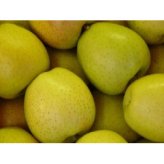 【11月下旬頃発送】青森 りんご 王林 ＆ サンふじ ミックス 家庭用 5C箱(約5kg:13～16個入)  一華ベジフル ふじ ふじりんご 蜜入り リンゴ 林檎 アップル 贈答 ギフト ３キロ 5キロ 10キロ 訳あり 糖度 青森産 青森県産 青森名産 2026 お歳暮【送料無料】