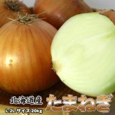 たまねぎ 送料無料 20kg 玉ねぎ 玉葱 タマネギ 北海道産 L-2Lサイズ ※沖縄送料別途加算