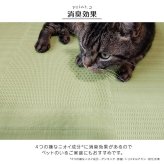 ラグ カーペット 洗える 日本製 国産 抗菌 防臭 消臭 アウトドア レジャー 敷物 和室 シンプル 江戸間6畳(約261×352cm)