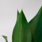 観葉植物 造花 アガベ アテナータ BROWN 全高約70cm 卓上・小型 フェイクグリーン 本物そっくり おしゃれ インテリア 人工観葉植物 アーティフィシャルグリーン オフィス 店舗 ホテル 開店祝い 室内 ミニ 多肉植物 フェイク