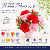 ご希望の色合いで選べる フラワータンブラーアレンジ 高さ23cm 生花 アレンジメント 花ギフト フラワーギフト お祝い 誕生日 記念日 お供え お悔やみ そのまま飾れる 手作り 鮮度重視 送料無料【北海道・沖縄・九州・四国・中国・離島は配送不可】