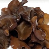 北海道産 朝採り生きくらげ 1kg 菌床栽培・無農薬 ぷりぷり肉質 送料無料 ※沖縄は送料別途加算