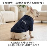 犬服 無地 tシャツ 通販 犬 服 ドッグウェア 犬の服 ペット服 ペットウェア ドッグウエア Tシャツ ペットウエアー 春 夏 秋 冬 お出かけ お出掛け お散歩 ペット用品 かわいい 可愛い おしゃれ オシャレ カジュアル