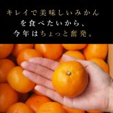 みかん 5kg 贈答用 秀品 特選 送料無料 和歌山 S M 小粒 中粒 手詰め 有田みかん 温州みかん 約40個～60個入ります ご当地 お出産内祝い 贈答 ギフト 誕生日 結婚祝い 出産祝い 内祝い ギフト