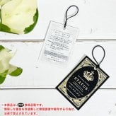 PLANCHU 観葉植物 ポトス ステータス 5号吊り鉢 育て方説明書付き PVP Epipremnum aureum ‘Status’ エピプレムナム アロイド