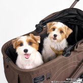 コンビ combi コムペット compet フィカゴー FikaGO トグル TOGGLE ペットカート ブラッシュベージュ