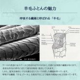極厚多重層 羊毛 敷布団 マルハチ 丸八布団 丸八真綿 3層 ライト シングル 布団 マット ベッド 敷き 敷き布団 除湿 袋 腰 羊毛敷布団 しきふとん ホテル 旅館 愛用 厚い 厚手 おすすめ 人気 大人気 寝具 ふかふか 厚め 羊毛敷き布団 丸八 受発注