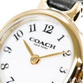 コーチ COACH 腕時計 レディース アイリス IRIS 22.5MM 14504654【2026 新作】