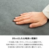 ソファ 座椅子 ー 2人掛け 座面 広い ごろ寝 2.5人掛け コンパクト おしゃれ 洗える カバーリング グレー ワイド 幅150cm 肘あり 北欧 モダン ファブリック 二人掛け 布地 金属脚 リビング iw-703