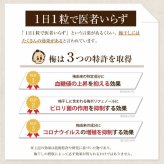 【特選紀州南高梅】【あまみつ梅250g×2パック（塩分約5％）】【紀州産】【調味梅干】減塩のはちみつ梅干し つけもの 梅干し ギフト プレゼント 内祝