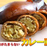 いかめし 森町 カレー味 2尾入×4袋入 ポスト投函 メール便 送料無料