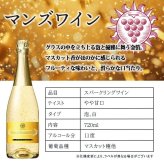 マンズ ゴールド 名入れ お酒 シャンパン キンシャン 720ml ワイン ゴールド スパークリングワイン 名前入り プレゼント ギフト 面白い センス 定年退職 還暦祝い 退職祝い 男性 女性 お祝い 古希 喜寿 傘寿 米寿 卒寿 白寿 百寿 敬老の日