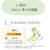 い草 シーツ い草シーツ ベビー キッズ ジュニア 寝ござ 『さわやか ネゴザ』 約70×120cm お子様にも安心 国産い草シーツ さわやかネゴザ 抗菌 防臭 綿 ラグ マット インテリア 敷物 綿100% やわらか 肌触り 耐久性 吸湿 弾力 ブルー 入学祝い