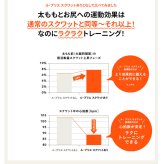 チェア 椅子 ミズノ MIZUNO エクササイズグッズ エクササイズ ル・プリエスクワット スクワットスリール グレー C3JHI905 06 フィットネス トレーニング インテリア