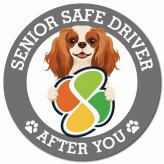 カーサイン 高齢者マーク SENIOR SAFE DRIVER キャバリアキングチャールズスパニエル マグネット 強力 直径13cm 肉球 日本製 車 ステッカー