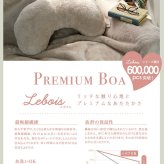 Le bois ルボア 着る毛布 26AW