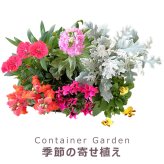 季節の寄せ植え 秋 タル型鉢 白 ギフトにも最適な季節のお花を寄せ植えに【プレゼント ガーデンピック 玄関 ベランダ 送料無料 沖縄・離島を除く】