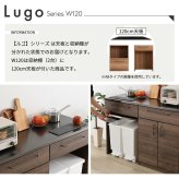 キッチンカウンター ゴミ箱収納 日本製 特殊鋼板を使った組み合わせ 【Lugo-ルゴ-】120cm 扉収納+ゴミ箱上カウンター：