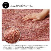 ラグ カーペット 3畳抗菌防臭防ダニタフト国産ミックスカラー『イリゼ』約190×240cm