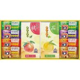 炭酸力の薬用入浴剤セット [26-7629-046] ＢＢ２５ プレミアムギフト 贈り物 お祝い 日本製 内祝い 出産内祝い 結婚内祝い 快気祝い 新築祝い お返し 贈り物 プレゼント ギフト