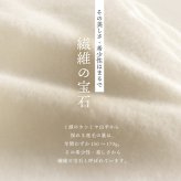 カシミヤ100％ ストール 大判サイズ レディース 【200cm×60cm】【名入れ刺繍可能】カシミヤストール 大判ストール  羽織 手洗い可能 秋冬 防寒 無地 柔らか 暖か ショール マフラー プレゼント ギフト 高級 贈り物 大きめ 上品 7F (02000349r)