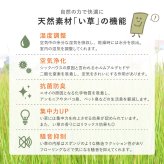 収納家具 ラック 【12枚組】 い草畳 82×82×2.5cm/枚 抗カビ 消臭 縁なし 滑り止め付き フローリングに置くだけ 取り外しOK 吸音 断熱 吸湿 ストライプ柄 和モダン 赤ちゃん リビング おしゃれ ブ ブラウン グリーン ナチュラル