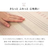 ラグ 洗えるラグマット 小さい 小さめ 綿 インド綿 コットン おしゃれ ウレタン入り 裏面滑り止め ホットカーペット対応 床暖房対応 折りたたみ オールシーズン 前 タッセル付き 約185×185cm インテリア 敷物 ウレタンフォーム 綿100%