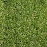【法人様限定配送】リアル人工芝 クローバーターフ レギュラータイプ 幅2m×長さ10m 芝丈30mm グリーンカラー 室内 水はけ 芝生マット 人工芝生 人工芝ロール 芝生 ロールタイプ 庭 ベランダ テラス バルコニー ガーデニング ガーデン 屋上緑化   雑草対策