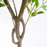 観葉植物 造花 斑入りベンジャミン BROWN 全高約150cm 大型 ゴムの木 フェイクグリーン 本物そっくり おしゃれ インテリア 人工観葉植物 アーティフィシャルグリーン オフィス 店舗 ホテル 開店祝い 室内 ベンジャミン 斑入り フィカス フェイク