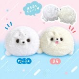 ぬいぐるみ アザラシ あざらし グッズ 可愛い かわいい [ エール もちもふ！アザラシ ] 動物 3歳 4歳 5歳 6歳 子供 キッズ 男の子 女の子 誕生日 クリスマス プレゼント