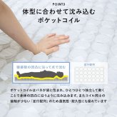ベッド 寝具 ポケットコイルマットレス 幅80cm 奥行き180cm 高さ46cm マットレス付き すのこ セミシングルショート 収納 マットレス ロータイプ ハイタイプ 頑丈 寝室 下収納 シンプル